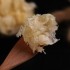 特产新新蜂蜜麻糖 中华老字号零食麻糖 年货 传统糕点茶点零食小吃